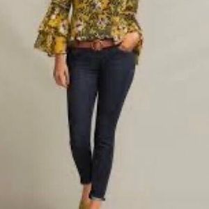 Cabi Rinse Skinny Jean size 4, NWT, #5493